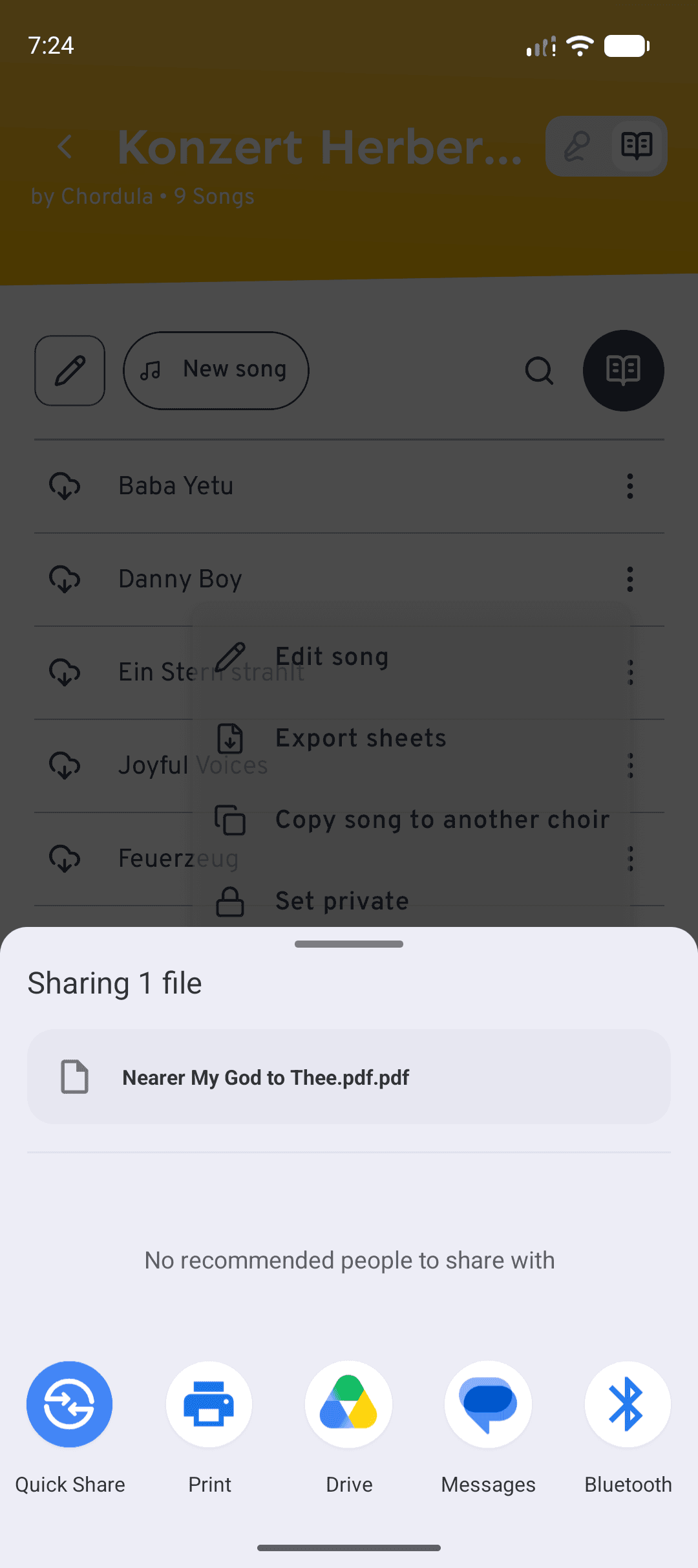 On mobile, “Export sheets” opens the system share sheet so you can save or send the PDF.